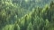 #ViMoveForClimate – dự án dành cho thế hệ mai sau