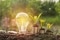 The picture shows money to subsidise a heat pump