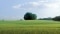 Renewables from the environment